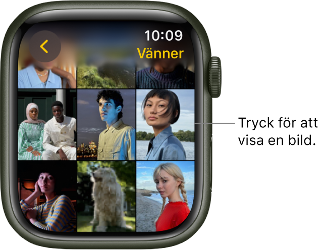 Huvudskärmen i appen Bilder på Apple Watch med flera bilder som visas i ett rutnät.