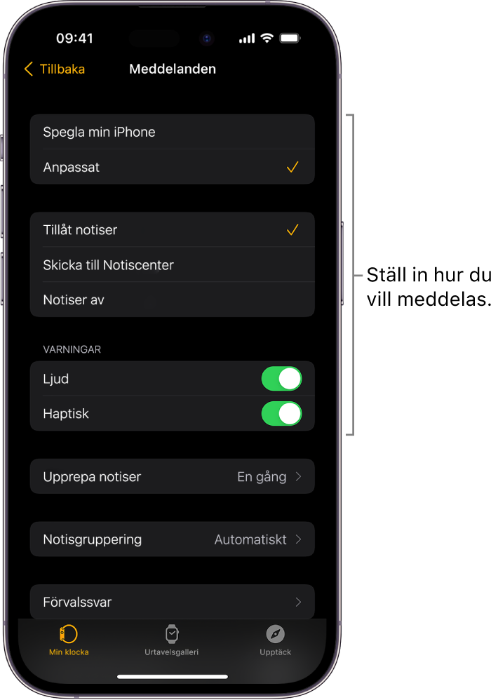 Meddelandeinställningar i Apple Watch-appen på iPhone. Du kan välja om notiser ska visas, slå på ljudet, slå på haptik och upprepa notiser.