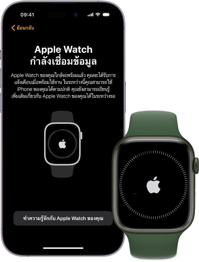 iPhone และ Apple Watch แสดงอยู่ข้างกัน หน้าจอ iPhone แสดง “Apple Watch กำลังเชื่อมข้อมูล” Apple Watch แสดงความคืบหน้าในการเชื่อมข้อมูล