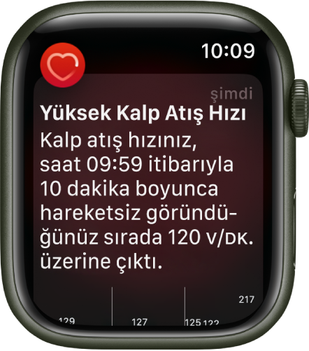 Yüksek kalp atış hızı algılandığını gösteren Kalp Atış Hızı Uyarısı ekranı.