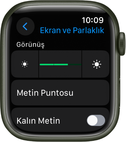 En üstte Parlaklık sürgüsü ve altında Metin Puntosu düğmesi olmak üzere Apple Watch’ta Ekran ve Parlaklık ayarları.