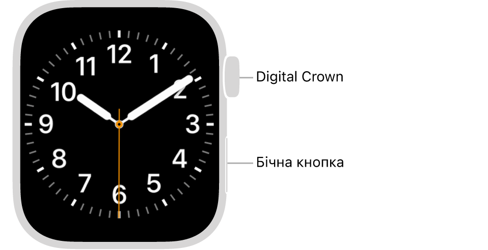 Передня панель Apple Watch із коронкою Digital Crown вгорі з правого боку годинника й бічною кнопкою, розташованою внизу праворуч.