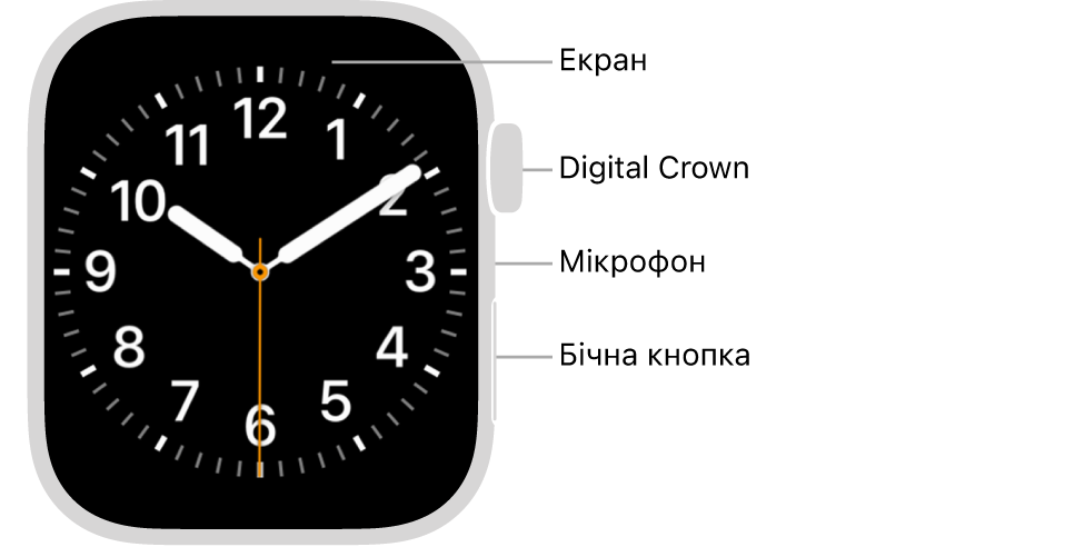 Передня панель Apple Watch Series 9 із відображенням циферблата на дисплеї та розташованими згори донизу коронкою Digital Crown, мікрофоном і бічною кнопкою на бічній панелі годинника.