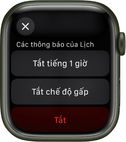 Cài đặt Thông báo trên Apple Watch. Nút trên cùng có nội dung "Tắt tiếng 1 giờ”. Bên dưới là các nút để Tắt chế độ gấp và Tắt.