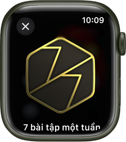 Một thành tích phần thưởng đang hiển thị trên Apple Watch. Bên dưới phần thưởng là mô tả về phần thưởng. Bạn có thể kéo để xoay phần thưởng.