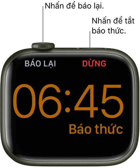 Một Apple Watch được đặt nghiêng, với màn hình đang hiển thị một báo thức đã phát. Bên dưới Digital Crown là từ “Báo lại”. Từ “Dừng" ở bên dưới nút sườn.