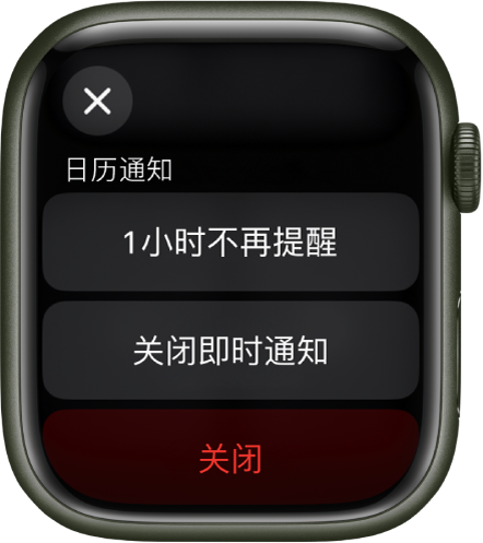 Apple Watch 上的通知设置。顶部按钮显示“1 小时不再提醒”。下方是“关闭即时通知”和“关闭”按钮。