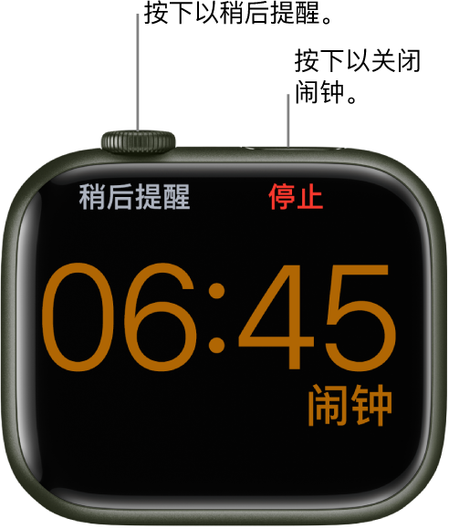 侧放的 Apple Watch，屏幕上显示了一个响起的闹钟。数码表冠下方是文字“稍后提醒”。文字“停止”位于侧边按钮下方。