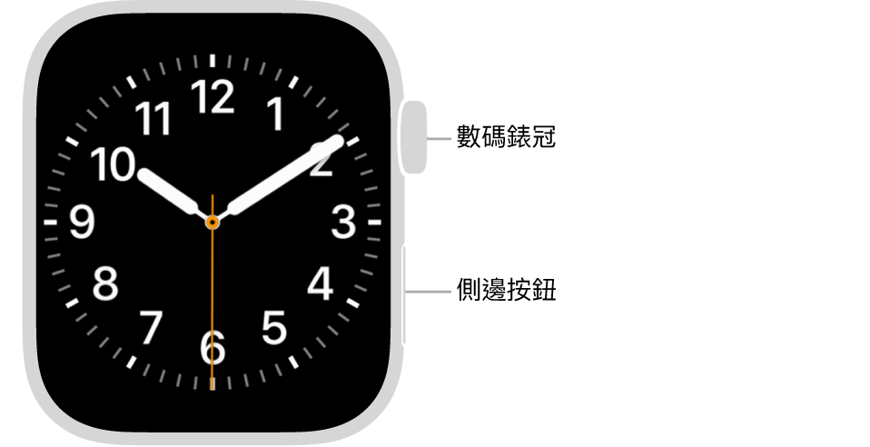 Apple Watch 的正面，手錶右上方是數碼錶冠，右下方則是側邊按鈕。