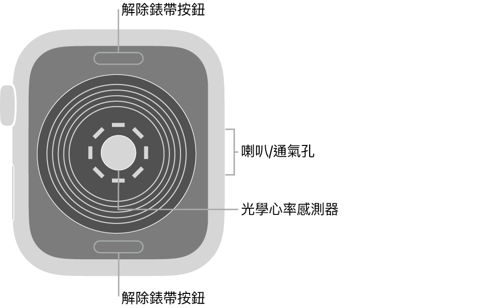 Apple Watch SE 的背面，在頂部和底部的解除錶帶按鈕，中間的光學心率感測器，以及側邊的喇叭/通氣孔。