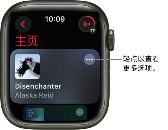 “音乐” App 显示“主页”屏幕以及一张专辑。右侧是“更多选项”按钮。右上方是“播放中”按钮。左上方为“返回”按钮。