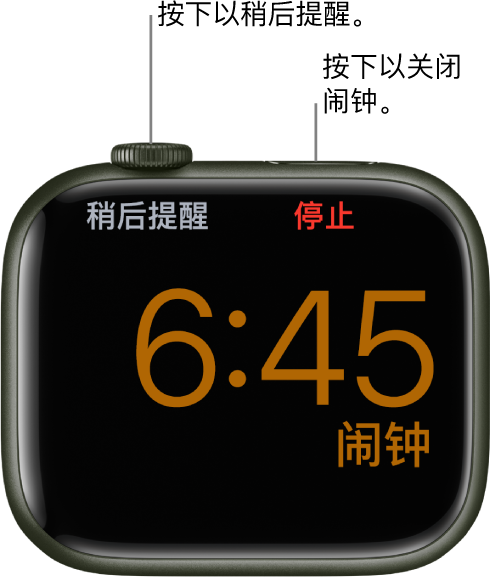 侧放的 Apple Watch，屏幕上显示了一个响起的闹钟。数码表冠下方是文字“稍后提醒”。文字“停止”位于侧边按钮下方。