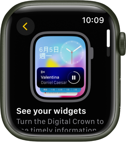 顯示 Apple Watch 提示的「提示」App。