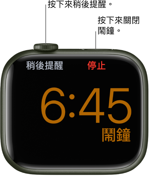 Apple Watch 側放，螢幕上顯示鬧鐘已響起。數位錶冠下方是「稍後提醒」一詞。「停止」一詞位於側邊按鈕下方。