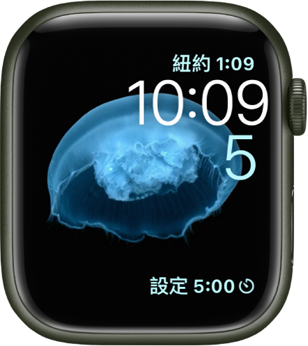 「動態」錶面顯示水母。你可以選擇要讓哪些物件動態顯示並加入一些複雜功能。右上角為「世界時鐘」，下方顯示時間和日期，底部為「計時器」複雜功能。