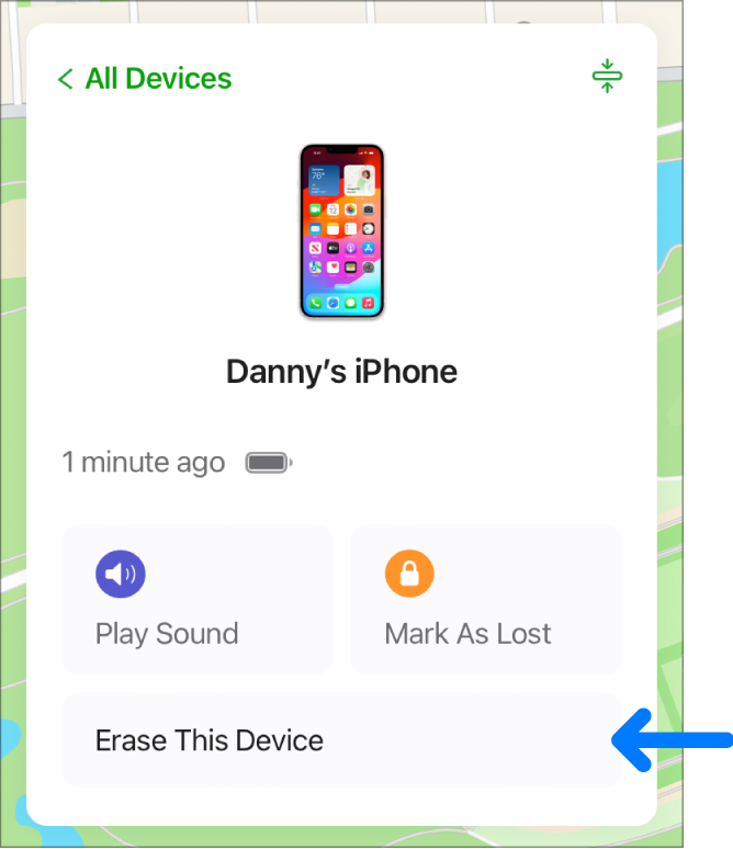 The Erase device button in the bottom-right corner of the device’s Info window.