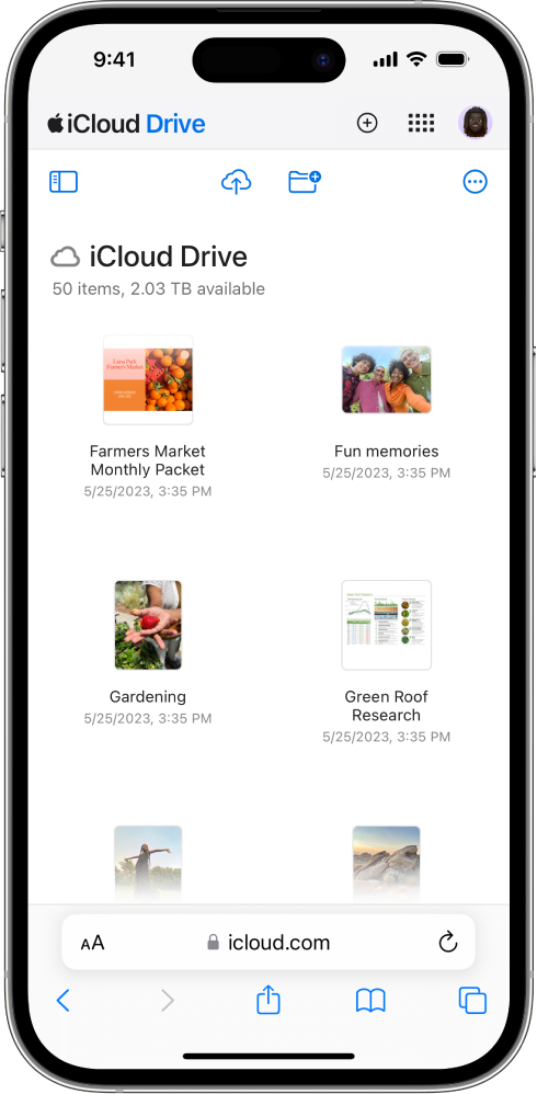 L’iCloud Drive és obert a iCloud.com en un iPhone, i conté una carpeta anomenada “Escriptori” que inclou fotos i presentacions.