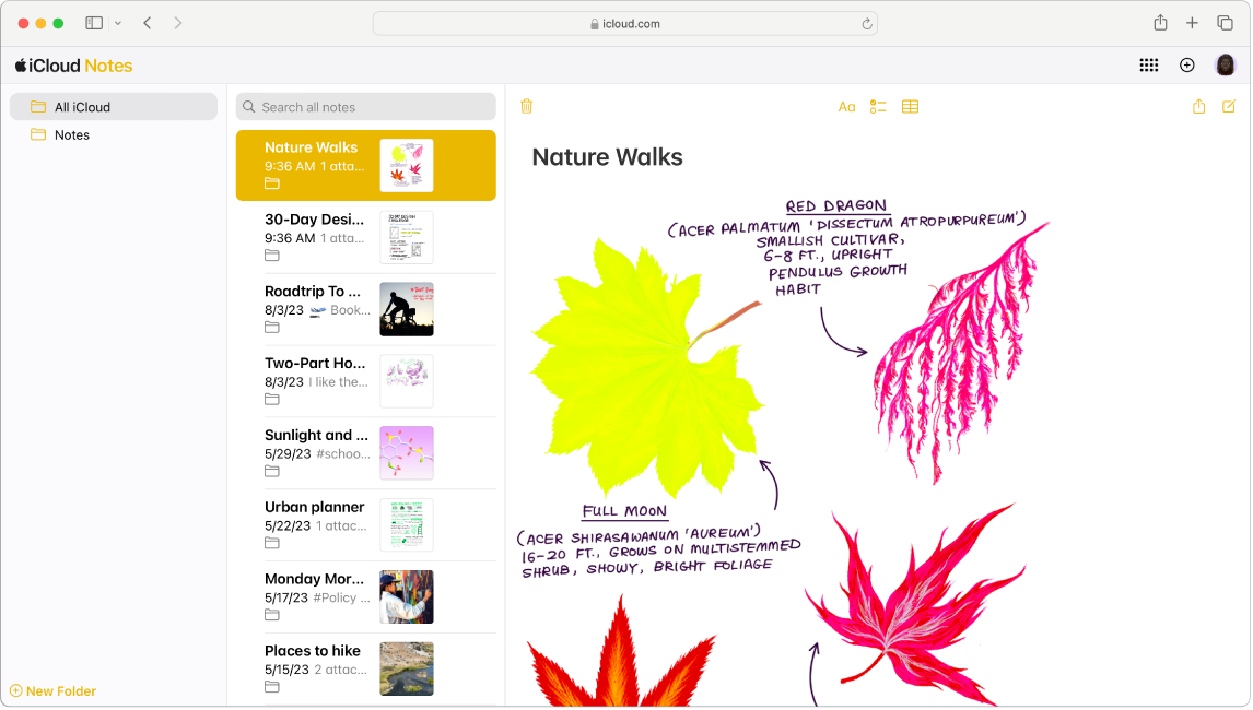 Uma nota do iCloud com o título “Caminhadas pela natureza”.