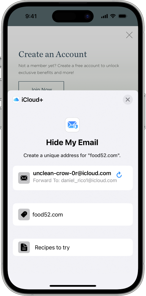 iPhone 上 Safari 中的「隱藏我的電郵」畫面。