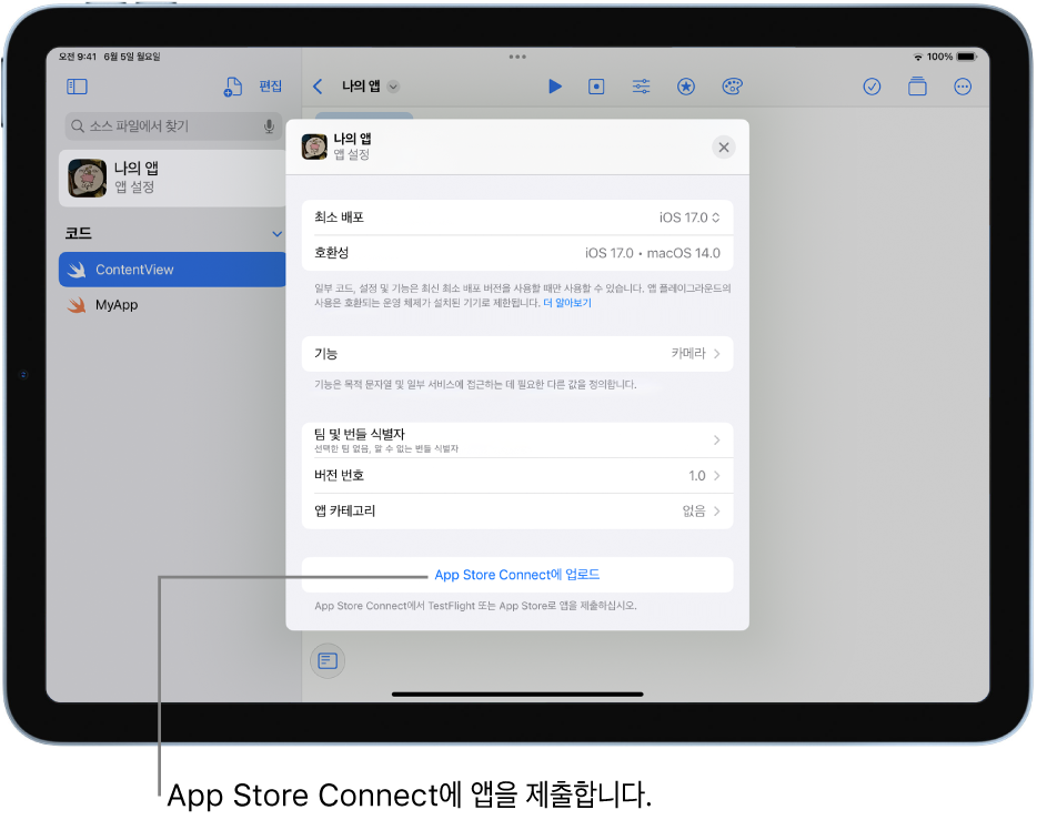 앱의 앱 설정 윈도우. 이 윈도우에서 제어기를 사용하여 앱을 식별하고 App Store Connect에 앱을 업로드할 수 있음.