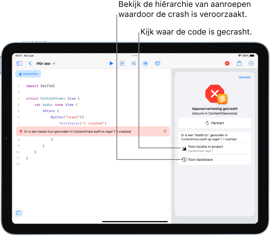 Een scherm met informatie over een crash die zich tijdens het uitvoeren van de app heeft voorgedaan.