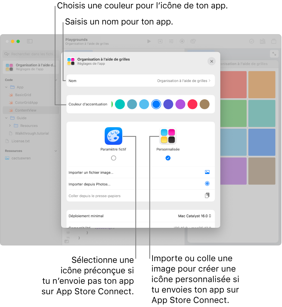 La fenêtre « Réglages de l’app » d’une app, affichant le nom de l’app et les couleurs et les illustrations pouvant être utilisés pour créer une icône pour l’app.