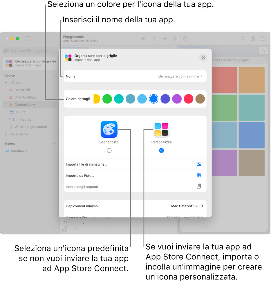 La finestra “Impostazioni app” che mostra il nome dell’app, i colori e l’immagine che può essere usata per creare un’icona per l’app.