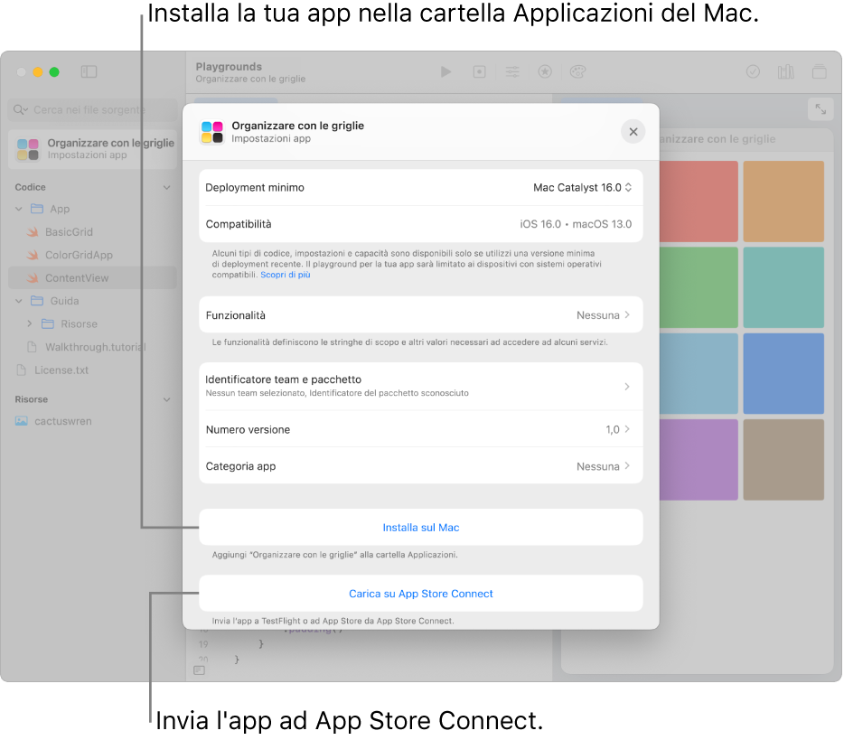 La finestra “Impostazioni app” di un'app che organizza i contenuti tramite una vista a griglia. Puoi utilizzare i controlli in questa finestra per installare la tua app nella cartella Applicazioni sul Mac e per caricarla su App Store Connect.