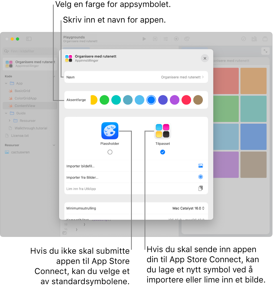 Appinnstillingene for en app, som viser navnet på appen og fargene og kunsten som kan brukes til å opprette et symbol for appen.