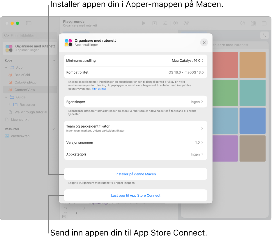 Appinnstillinger-vinduet for en app som organiserer innhold ved hjelp av en rutenettvisning. Du kan bruke kontrollene i dette vinduet til å installere appen din i Apper-mappen på Macen, og til å laste opp appen din til App Store Connect.