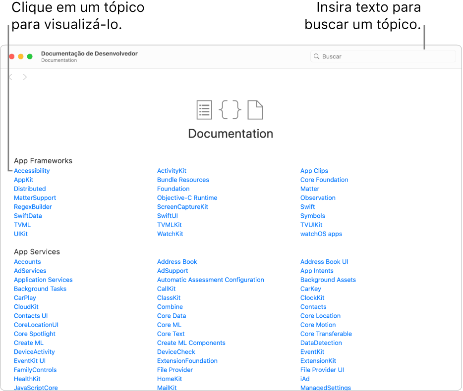 Documentação de desenvolvedor de Swift, mostrando o índice, o ícone de busca na parte superior direita e os tópicos que você pode clicar para ler.