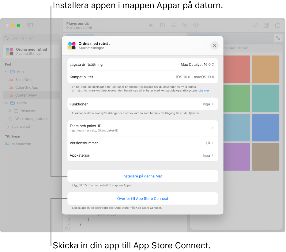 Appinställningsfönstret för en app som organiserar innehåll med ett rutnät. Du kan använda reglagen i det här fönstret till att installera appen i mappen Appar på datorn och överföra appen till App Store Connect.