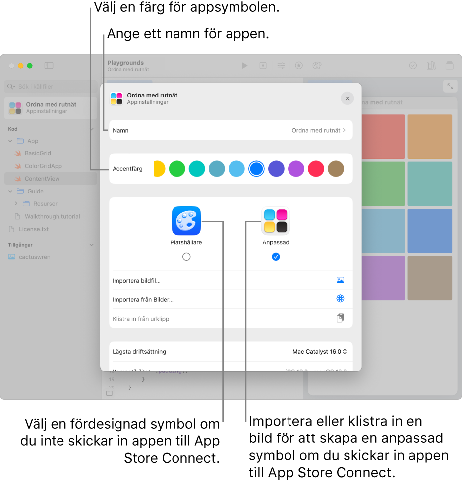 Appinställningarna för en app som visar namnet på appen och färger och bildmaterial som kan användas till att skapa en symbol för appen.