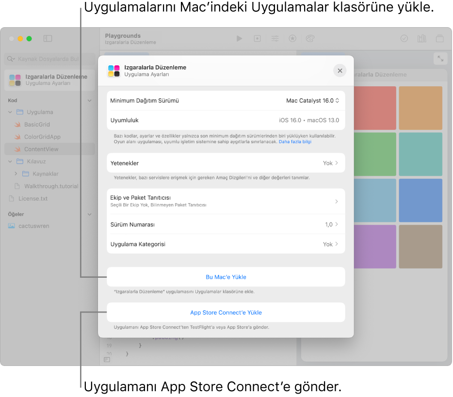 İçerikleri ızgara görüntüsü kullanarak düzenleyen bir uygulama için Uygulama Ayarları penceresi. Uygulamanı Mac’indeki Uygulamalar klasörüne yüklemek için bu penceredeki denetimleri kullanabilir ve uygulamanı App Store Connect’e yükleyebilirsin.