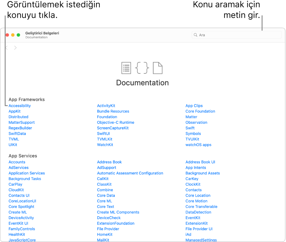 İçindekileri, sağ üstte arama simgesini ve okumak için tıklayabileceğin konuları gösteren Swift geliştirici belgeleri.