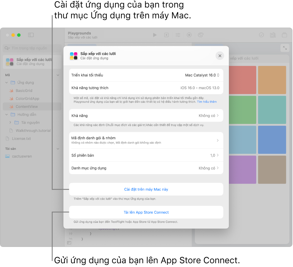 Cửa sổ Cài đặt ứng dụng cho một ứng dụng sắp xếp nội dung bằng chế độ xem lưới. Bạn có thể sử dụng các điều khiển trong cửa sổ này để cài đặt ứng dụng của mình trong thư mục Ứng dụng trên máy Mac và tải ứng dụng lên App Store Connect.