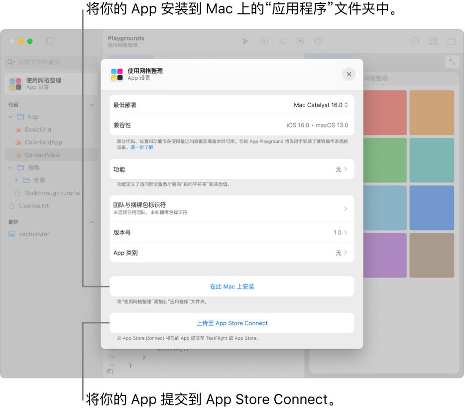 App 的“App 设置”窗口，使用网格视图整理内容。你可以使用此窗口中的控制以在 Mac 上的“应用程序”文件夹中安装 App，以及将 App 上传到 App Store Connect。