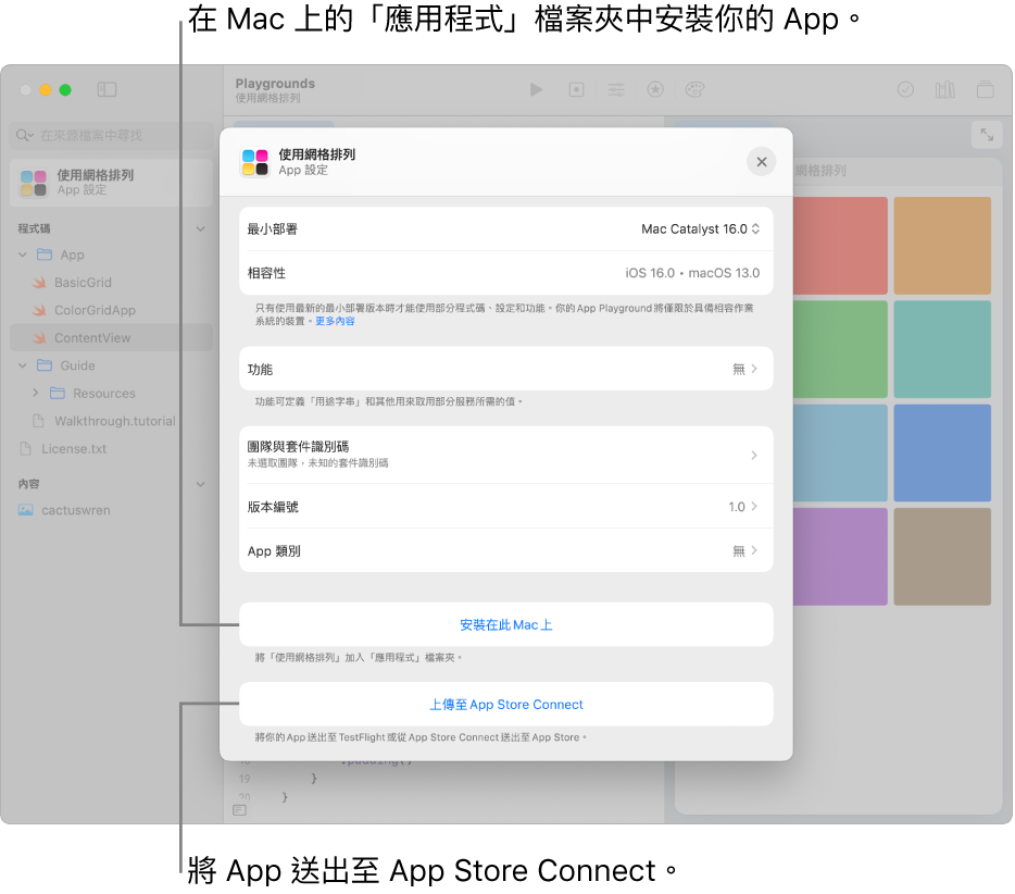 使用格狀顯示方式整理內容之 App 的「App 設定」視窗。你可以使用此視窗中的控制項目來在 Mac 上的「應用程式」檔案夾中安裝 App，以及將 App 上傳到 App Store Connect。