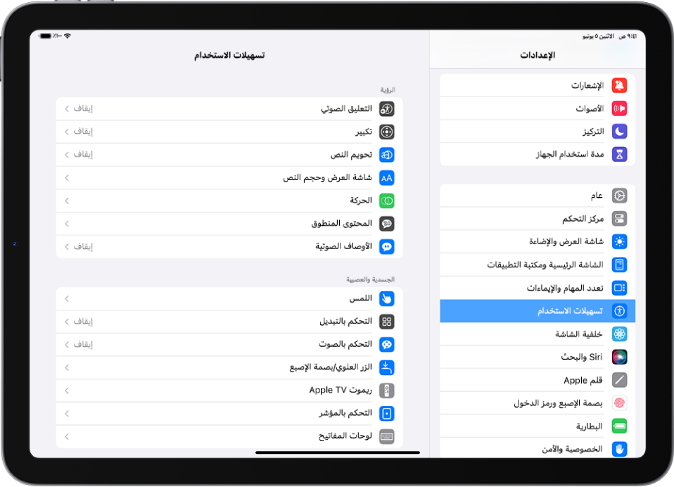 شاشة إعدادات iPad. على الجانب الأيمن من الشاشة يوجد الشريط الجانبي "الإعدادات"، مع تحديد تسهيلات الاستخدام. على الجانب الأيسر من الشاشة توجد خيارات لتخصيص ميزات تسهيلات الاستخدام.
