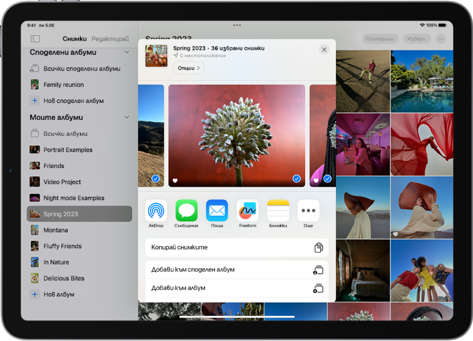 Екранът за споделяне на снимка с опциите за споделяне под отворената снимка, включително бутона Още за редактиране на опциите за споделяне.