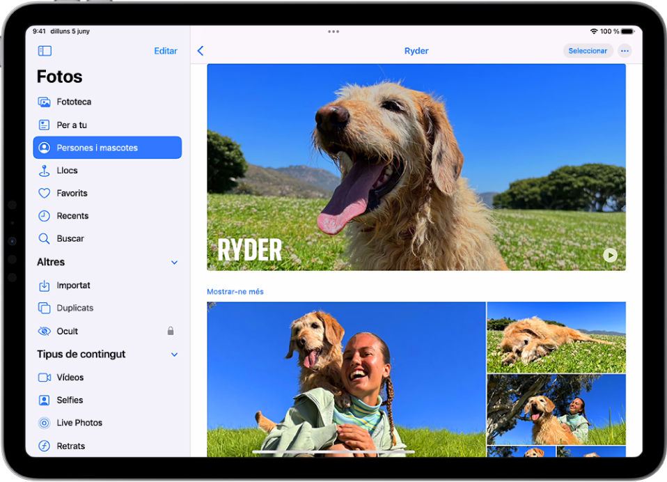 La pantalla de persones i mascotes, a l’app Fotos, en què es mostren un vídeo i fotos d’una mascota.