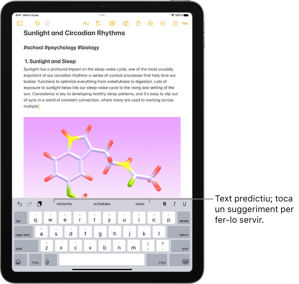 A l’app Notes es mostra el teclat en pantalla. En introduir text al camp de text, apareixen suggeriments de text predictiu per a la propera paraula a dalt del teclat.
