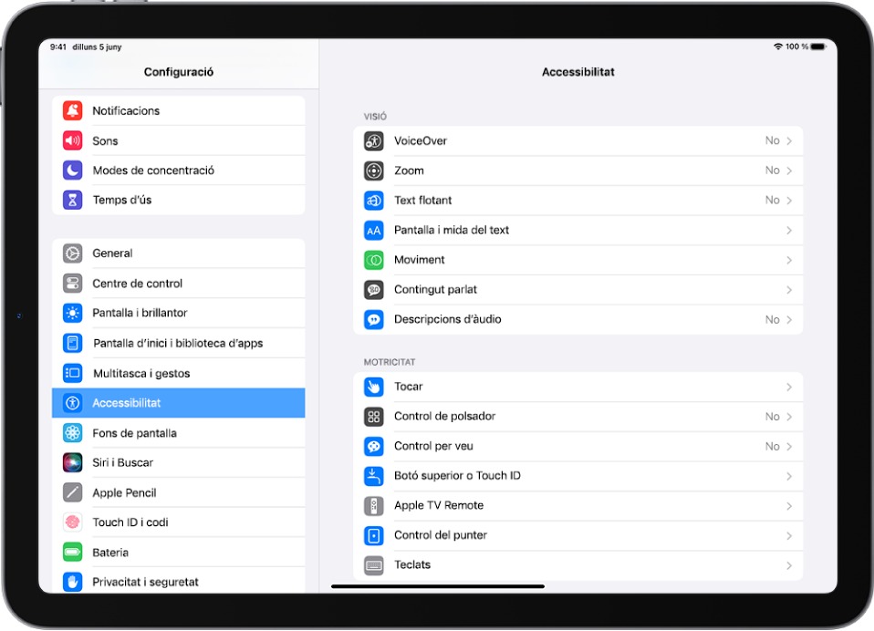 Pantalla de configuració de l’iPad. Al costat esquerre de la pantalla, a la barra lateral de configuració, se selecciona “Accessibilitat”. Al costat dret de la pantalla hi ha les opcions per personalitzar les funcions d’accessibilitat.