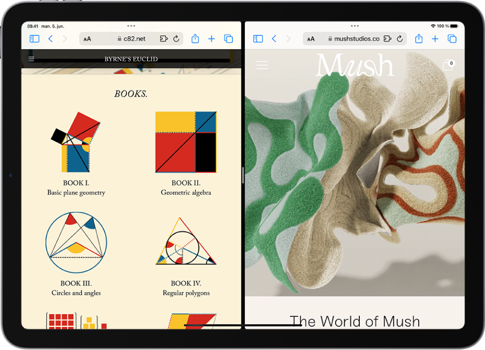 På skærmen vises to forskellige websider adskilt af en justerbar skillelinje. Øverst på hver webside er symbolet for Betjeningsmuligheder til multitasking.