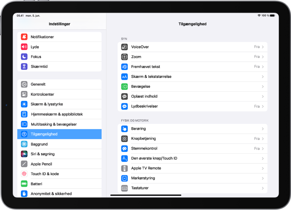 Skærmen Indstillinger på iPad. I venstre side af skærmen vises indholdsoversigten til Indstillinger. Tilgængelighed er valgt. I højre side af skærmen findes indstillingerne til tilpasning af funktioner i Tilgængelighed.