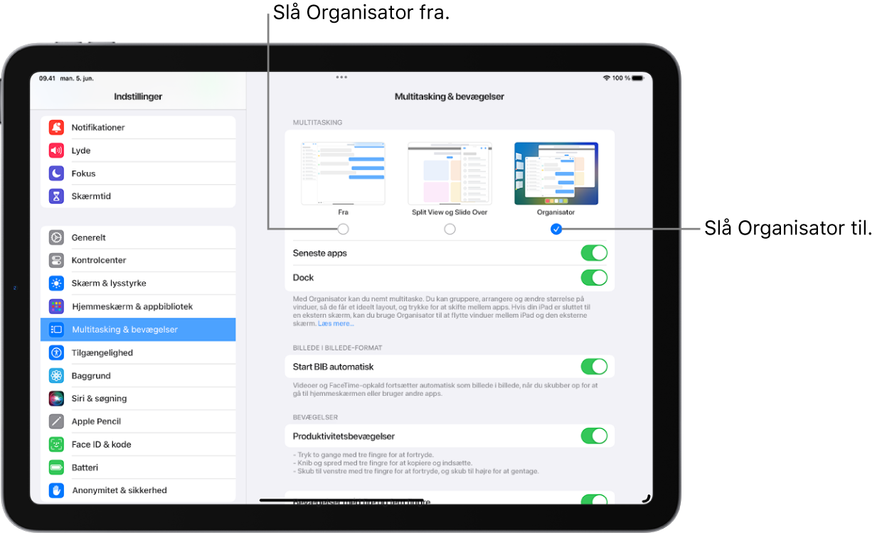 En skærm på iPad, der viser betjeningsmuligheder til at slå Organisator til eller fra, skjule eller vise listen med de seneste apps, når Organisator er slået til, og skjule eller vise Dock, når Organisator er slået til.