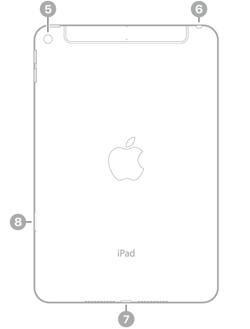 iPad mini set bagfra med billedforklaringer til kameraet på bagsiden øverst til venstre, hovedtelefonstikket øverst til højre, Lightning-stikket nederst i midten og SIM-bakken (Wi-Fi + Cellular) nederst til venstre.