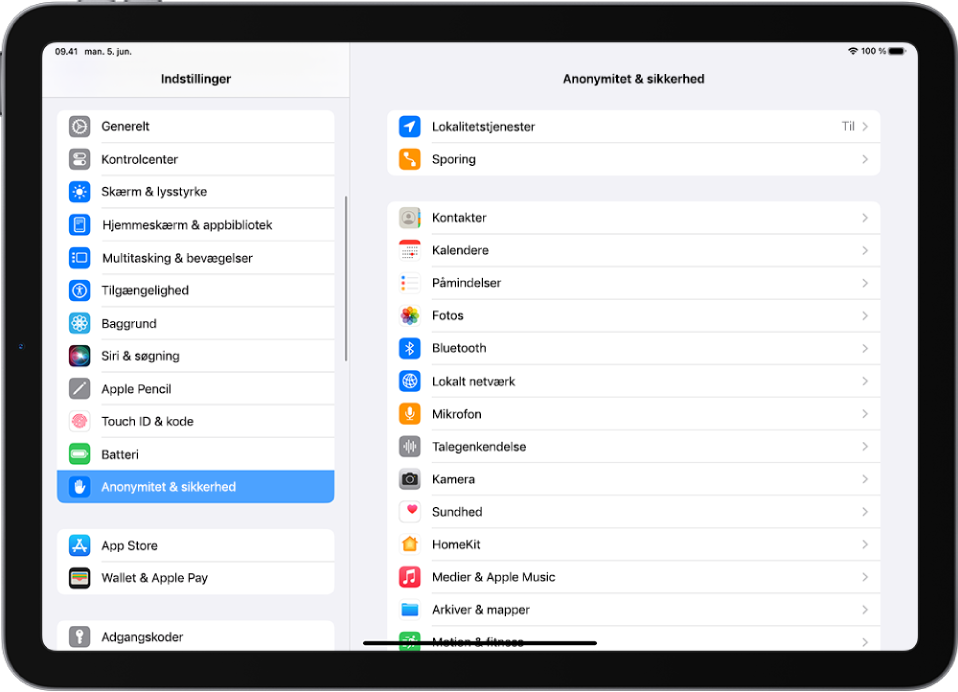 Skærmen Indstillinger på iPad. I venstre side af skærmen vises indholdsoversigten til Indstillinger. Anonymitet & sikkerhed er valgt. I højre side af skærmen findes muligheden for at slå Apps må anmode om at spore til og fra.