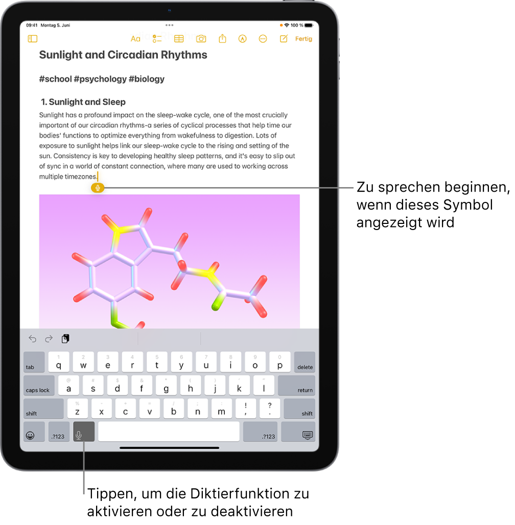 Die Bildschirmtastatur ist in der App „Notizen“ geöffnet. Die Taste „Diktieren“ unten auf der Tastatur ist ausgewählt und erscheint unter der Einfügemarke im Textfeld.
