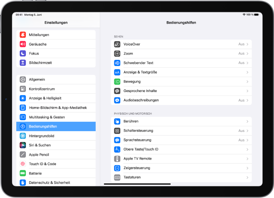 Der Bildschirm „Einstellungen“ des iPad. Auf der linken Bildschirmseite befindet sich die Seitenleiste „Einstellungen“, in der „Bedienungshilfen“ ausgewählt ist. Auf der rechten Bildschirmseite befinden sich Optionen zum Anpassen von Bedienungshilfenfunktionen.